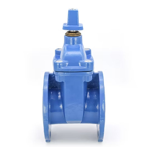 DIN F4/F5 Non-Rising Stem Resilient Seat Flanged Gate Valve