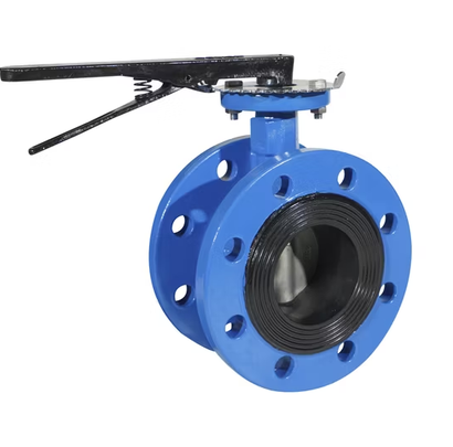 Custom Flanged Gate Valves