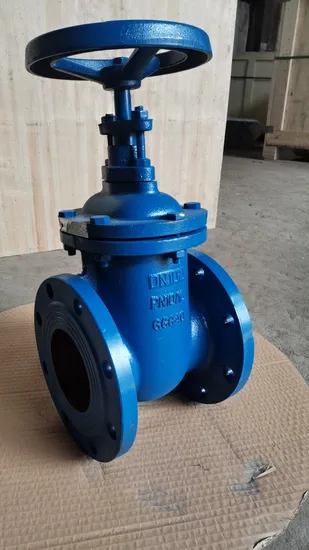 Ductile Iron Flanged Gate Valve, Non-Rising Stem Z41